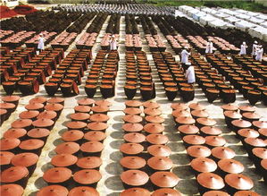 用好“老干媽”金字招牌，貴州三年聚力打造辣椒產業強省新藍圖